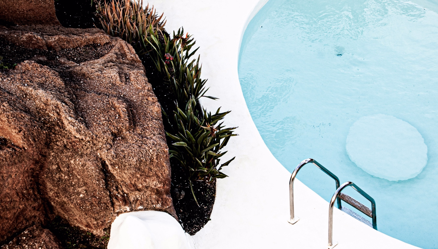 Una piscina junto a plantas